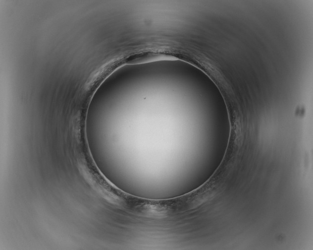 X0000112460442200908241303