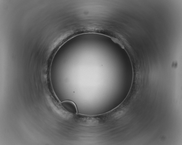 X0000112460443200908241303