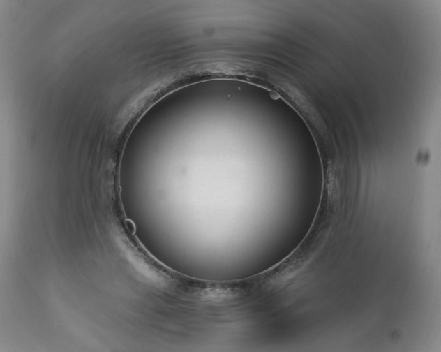 X0000112460445200908241303