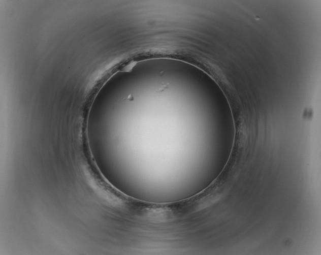 X0000112460446200908241303