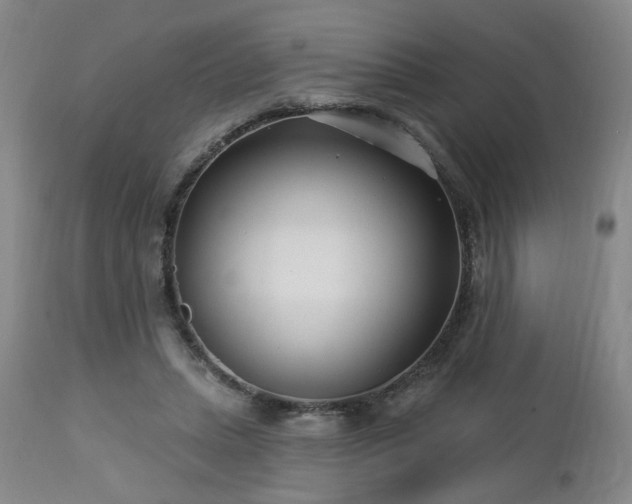 X0000112460447200908241303