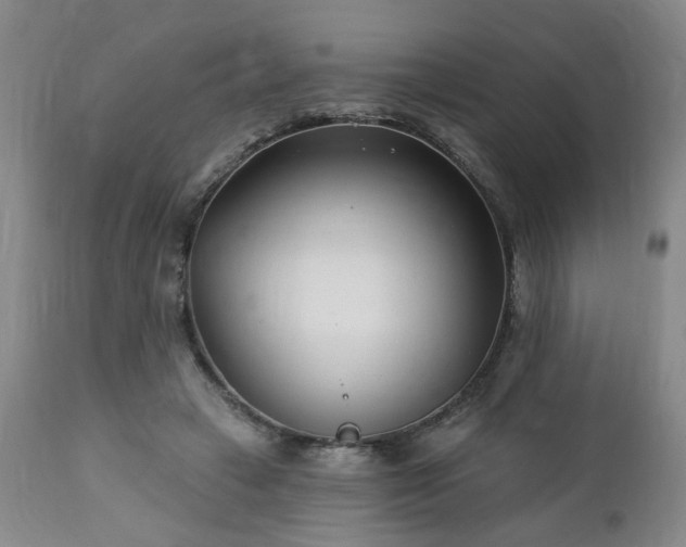 X0000112460449200908241303