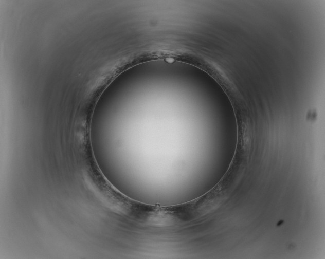 X0000112460451200908241303