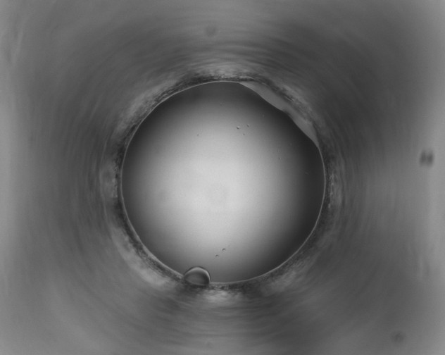 X0000112460453200908241303