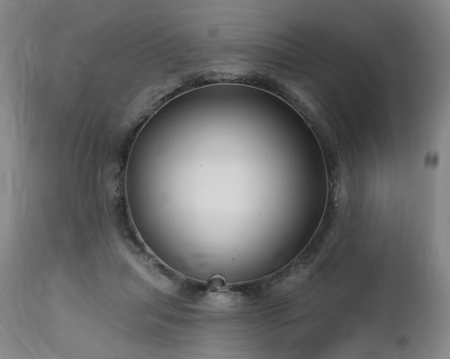 X0000112460455200908241303