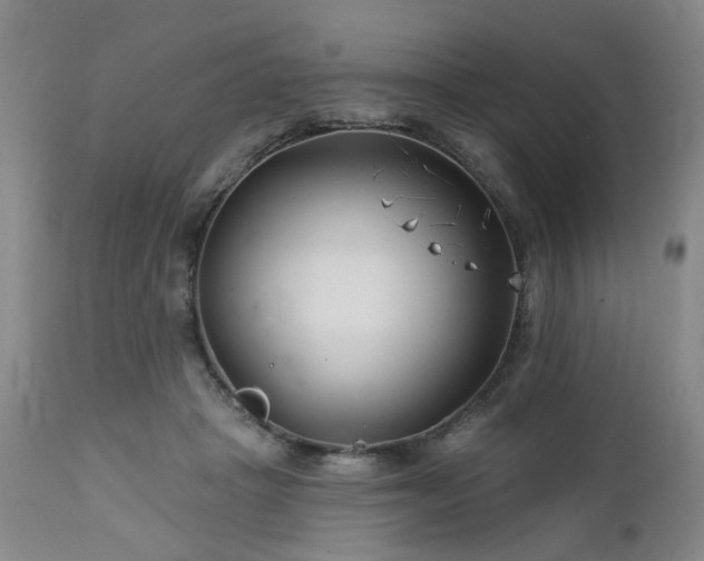 X0000112460457200908241303