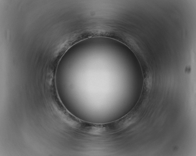 X0000112460458200908241303