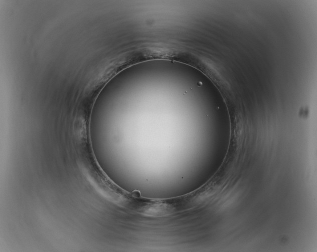 X0000112460459200908241303