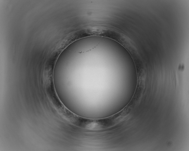 X0000112460460200908241303