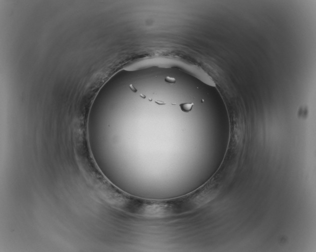 X0000112460461200908241303