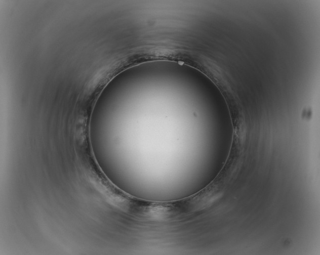 X0000112460462200908241303