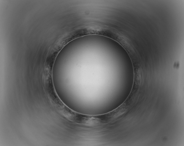 X0000112460463200908241303