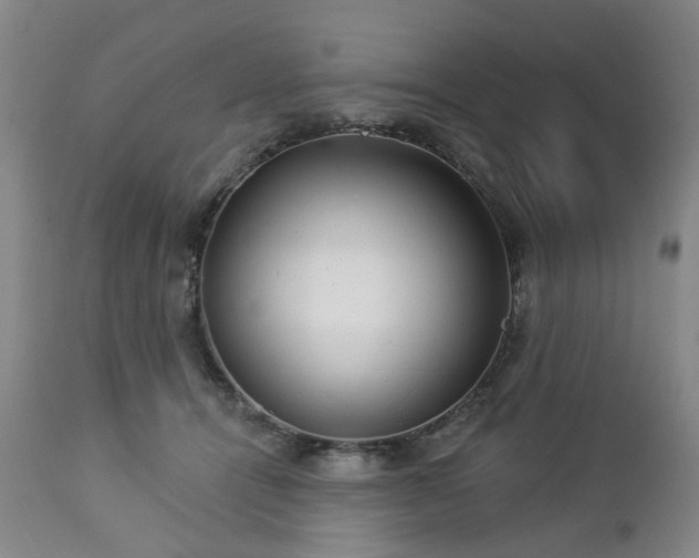 X0000112460464200908241303