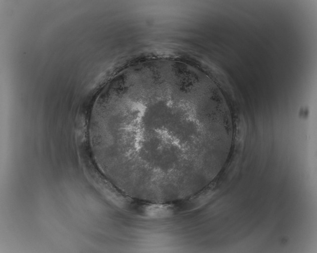 X0000112460465200908241303