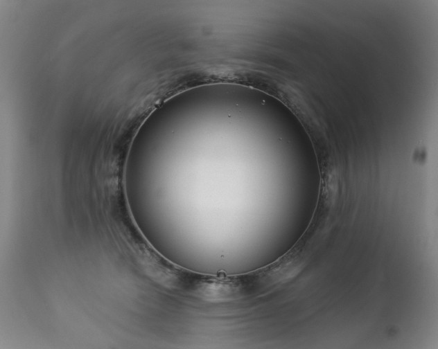 X0000112460466200908241303