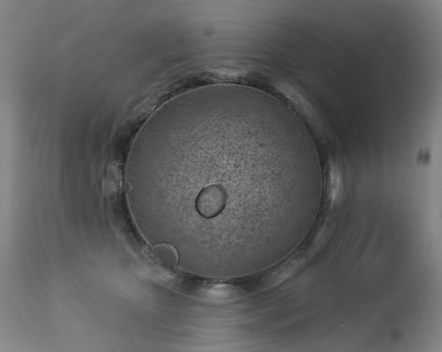 X0000112460467200908241303