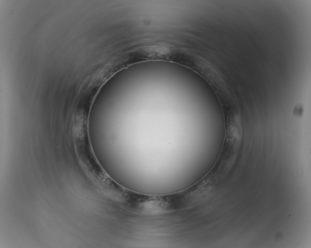 X0000112460468200908241303