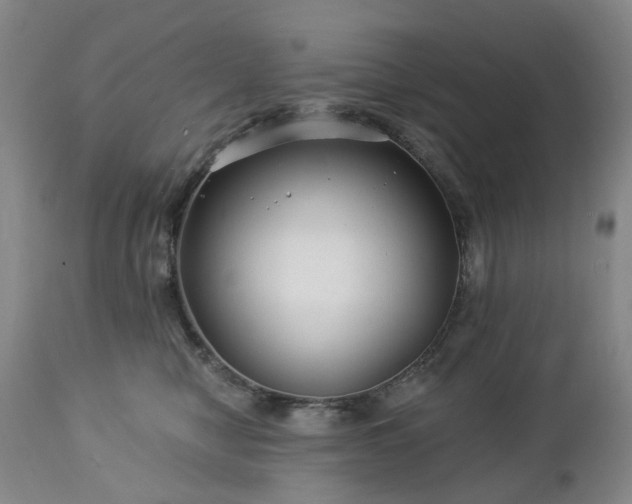 X0000112460470200908241303