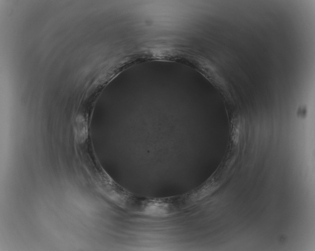 X0000112460471200908241303