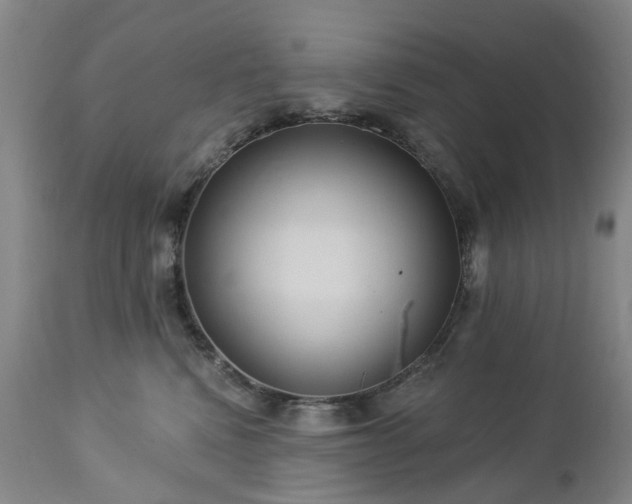 X0000112460472200908241303