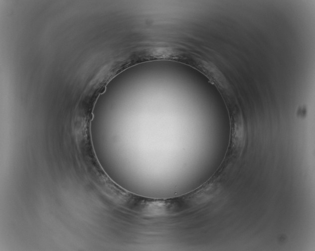 X0000112460473200908241303