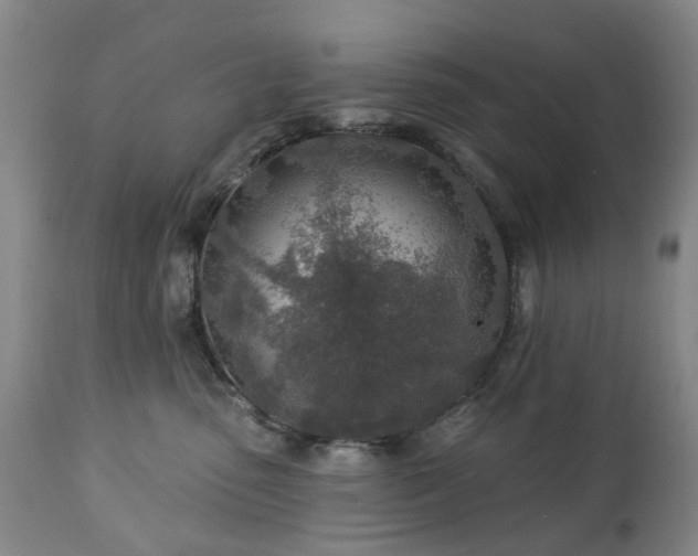 X0000112460475200908241303