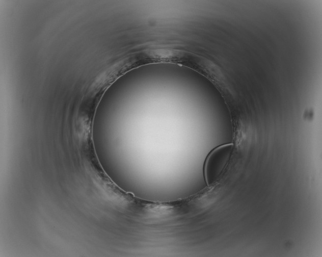 X0000112460476200908241303