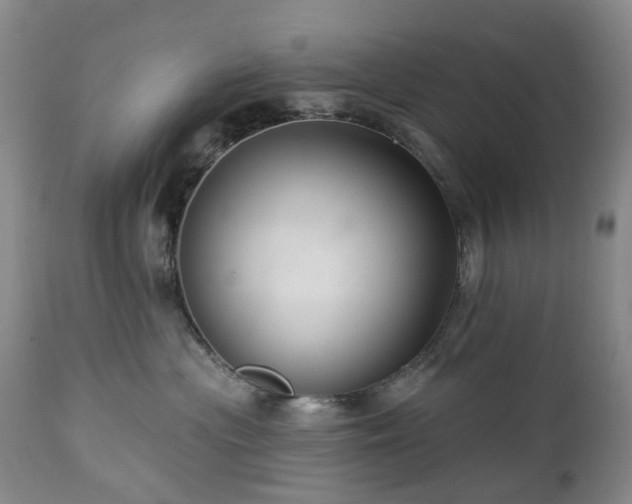 X0000112460477200908241303