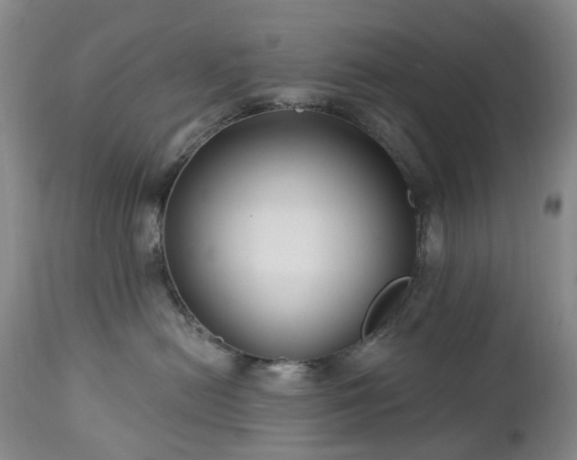 X0000112460478200908241303