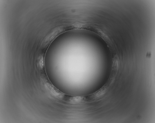 X0000112460479200908241303