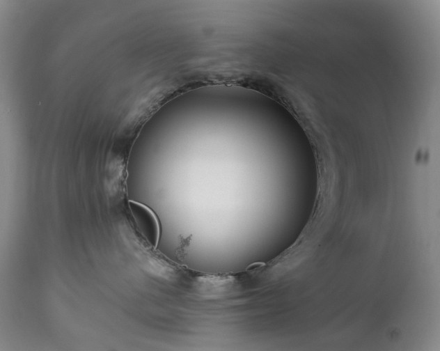 X0000112460480200908241303