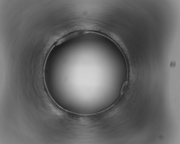 X0000112460481200908241302