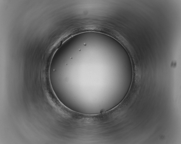 X0000112460482200908241302