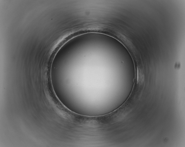 X0000112460483200908241302