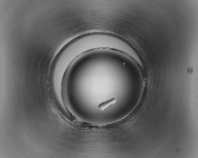 X0000112460484200908241302