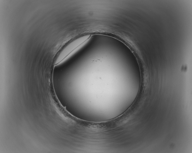 X0000112460489200908241302