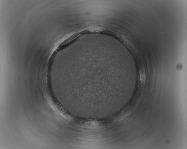 X0000112460492200908241302