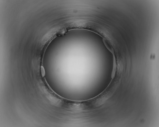 X0000112460493200908241302