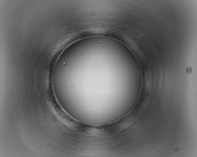 X0000112460494200908241302