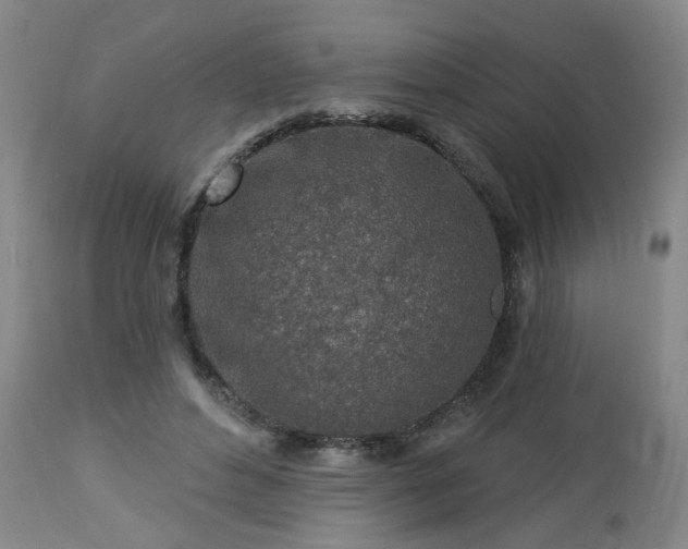 X0000112460496200908241302