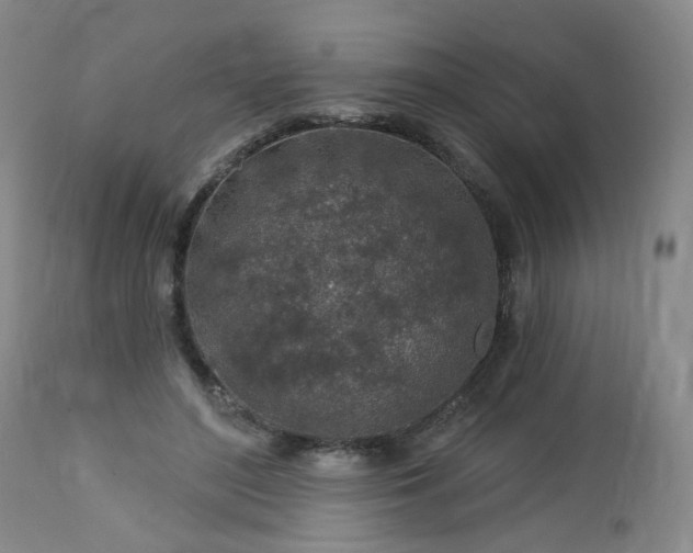 X0000112460500200908241302