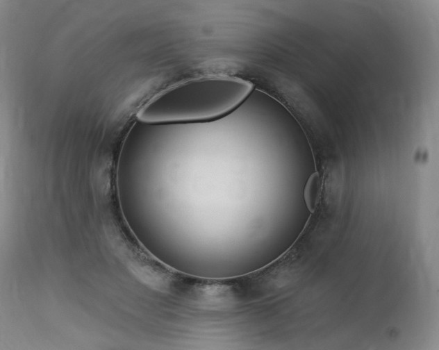 X0000112460501200908241302