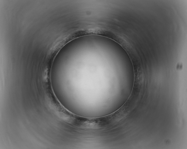 X0000112460502200908241302