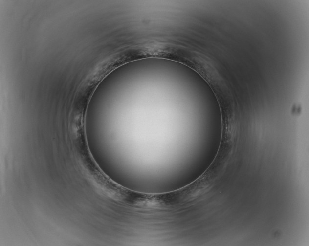 X0000112460503200908241302