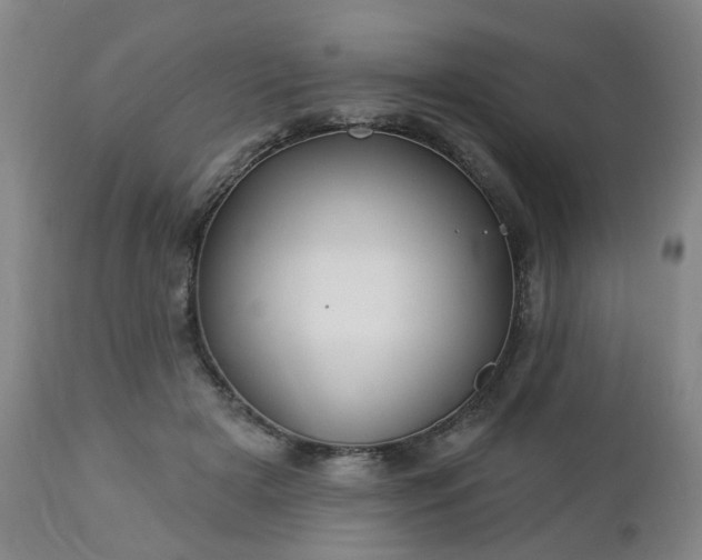 X0000112460505200908241302