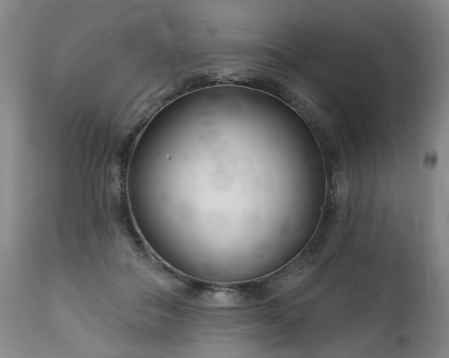 X0000112460506200908241302