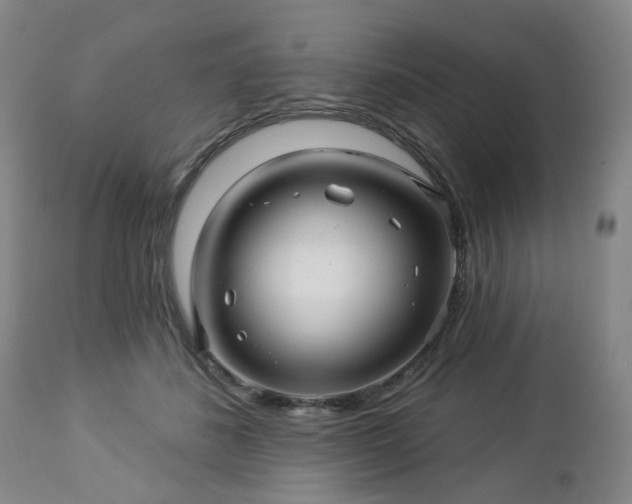 X0000112460508200908241302