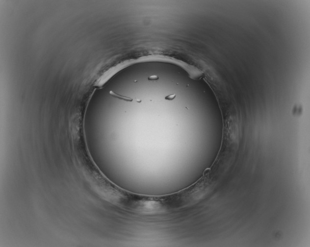 X0000112460509200908241302