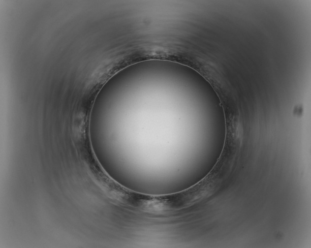 X0000112460511200908241302