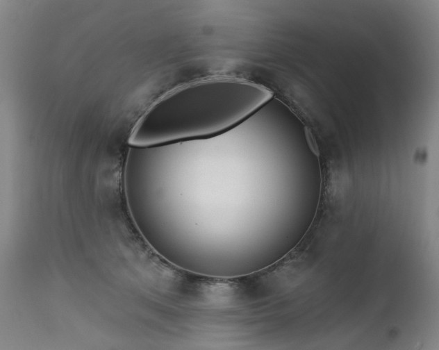 X0000112460513200908241302